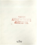 Original 8'' x 10'' Photograph of Marilyn Monroe Taken by Andre de Dienes in 1945 With de Dienes Backstamp